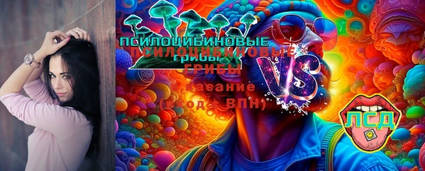 МДПВ Армянск