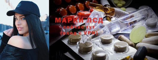амф Аркадак