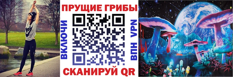 дарк нет наркотические препараты  купить наркотики сайты  гидра онион  Палласовка  Псилоцибиновые грибы Psilocybe 